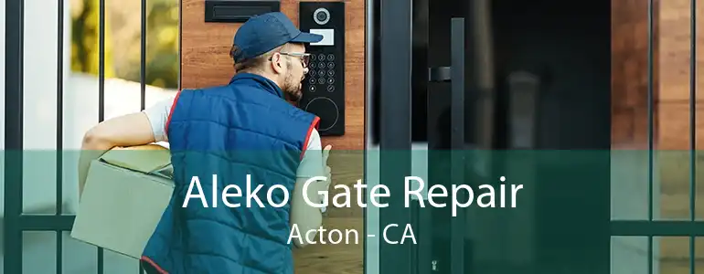 Aleko Gate Repair Acton - CA