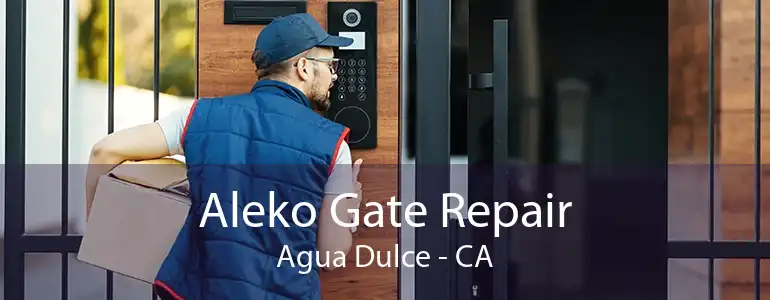 Aleko Gate Repair Agua Dulce - CA