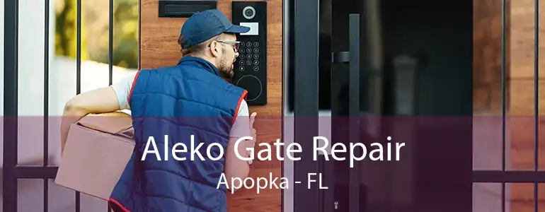 Aleko Gate Repair Apopka - FL