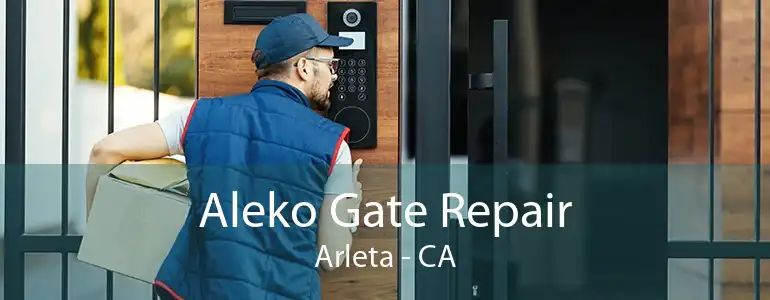 Aleko Gate Repair Arleta - CA