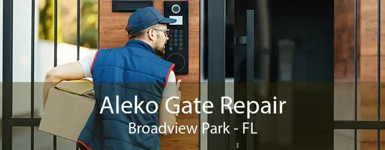 Aleko Gate Repair Broadview Park - FL