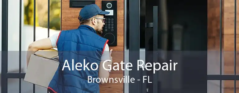 Aleko Gate Repair Brownsville - FL