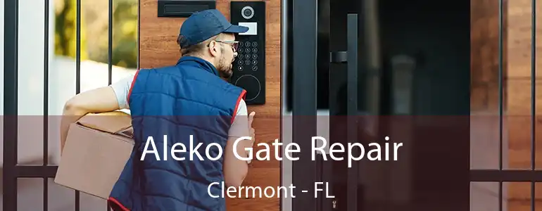  Aleko Gate Repair Clermont - FL