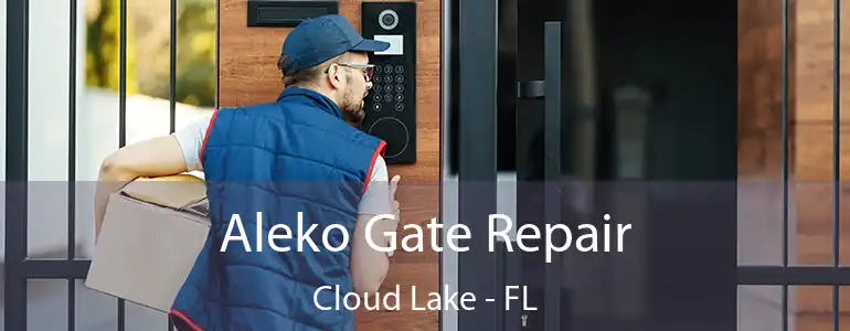  Aleko Gate Repair Cloud Lake - FL