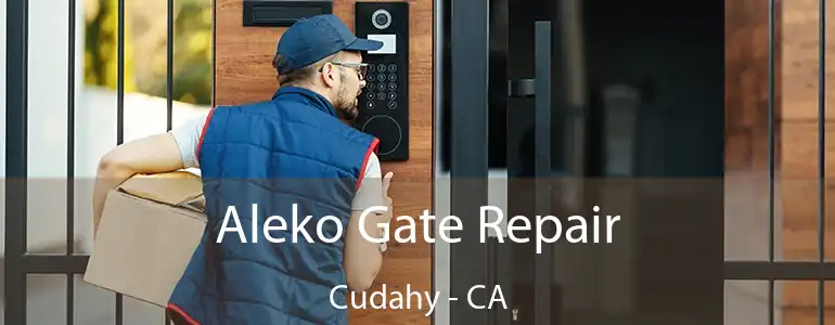  Aleko Gate Repair Cudahy - CA