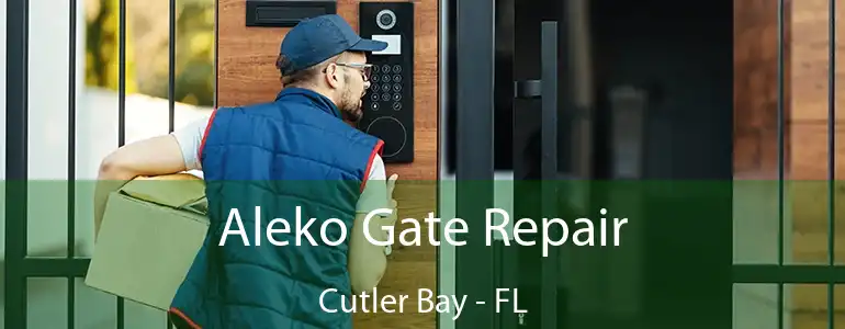  Aleko Gate Repair Cutler Bay - FL
