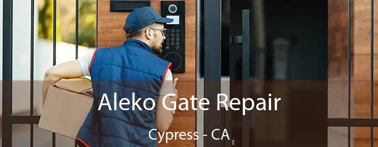  Aleko Gate Repair Cypress - CA