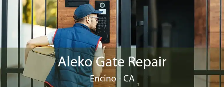  Aleko Gate Repair Encino - CA