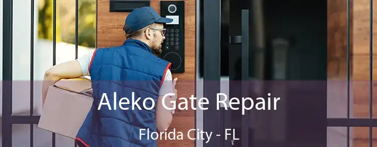  Aleko Gate Repair Florida City - FL