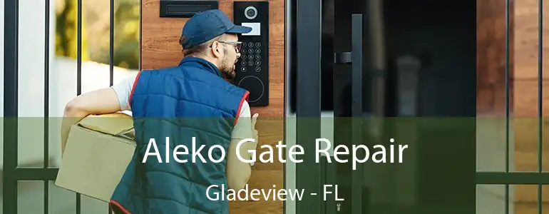  Aleko Gate Repair Gladeview - FL