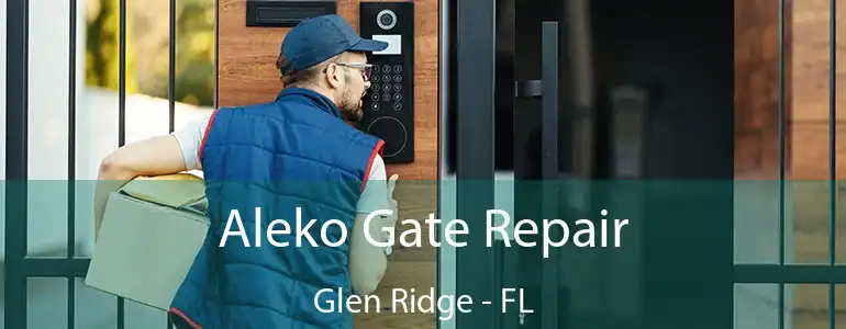  Aleko Gate Repair Glen Ridge - FL