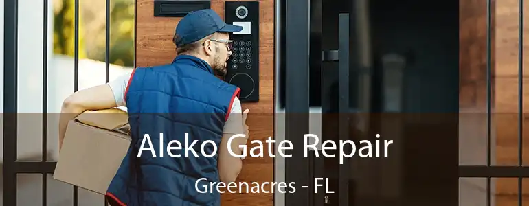  Aleko Gate Repair Greenacres - FL