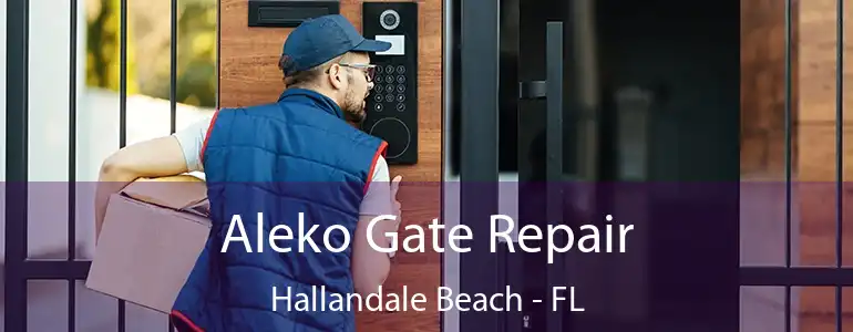  Aleko Gate Repair Hallandale Beach - FL
