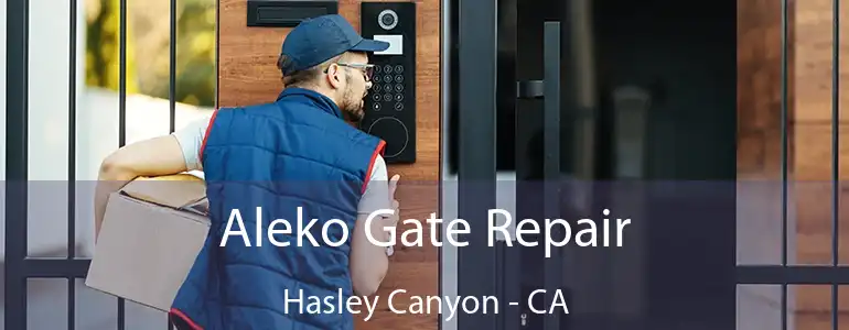  Aleko Gate Repair Hasley Canyon - CA