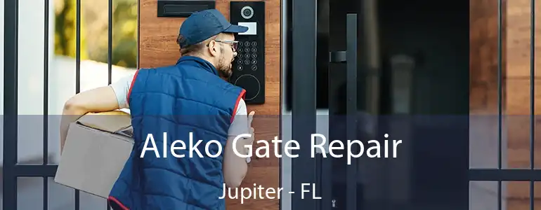  Aleko Gate Repair Jupiter - FL