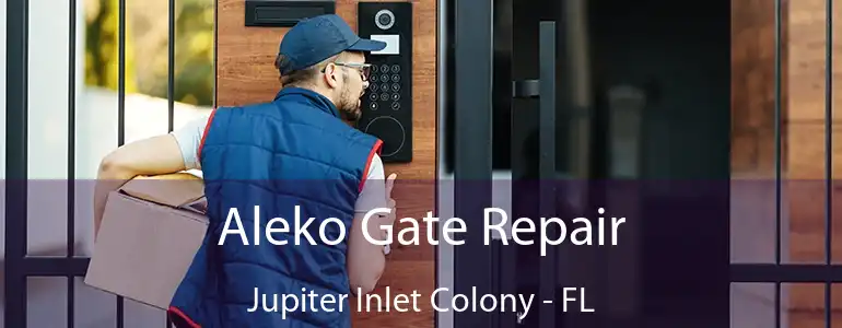  Aleko Gate Repair Jupiter Inlet Colony - FL