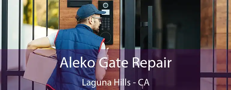  Aleko Gate Repair Laguna Hills - CA
