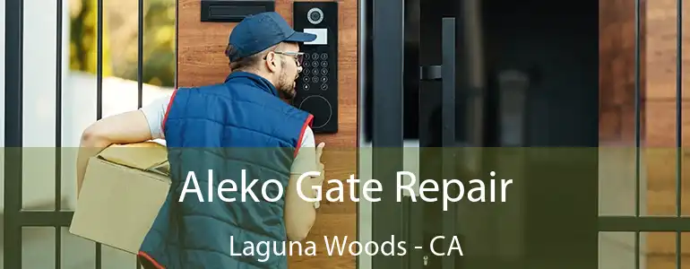  Aleko Gate Repair Laguna Woods - CA