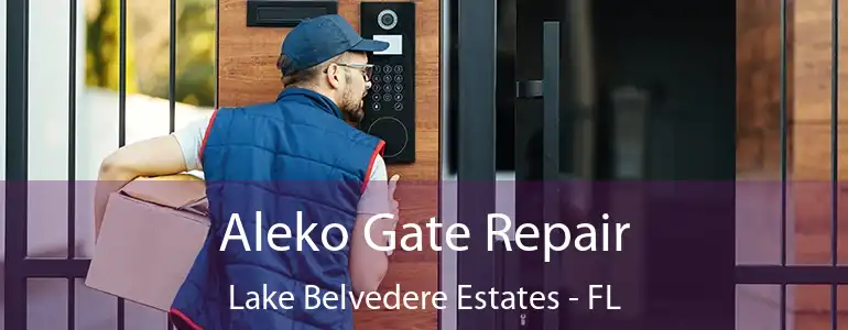 Aleko Gate Repair Lake Belvedere Estates - FL