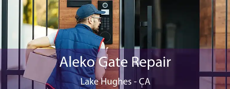  Aleko Gate Repair Lake Hughes - CA