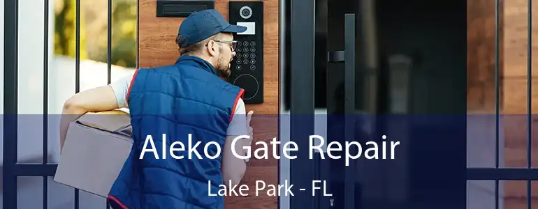  Aleko Gate Repair Lake Park - FL
