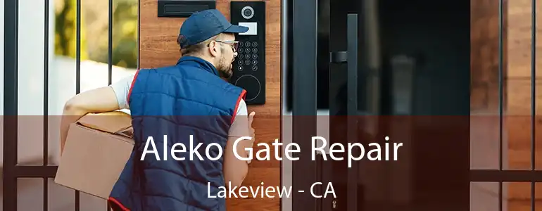  Aleko Gate Repair Lakeview - CA