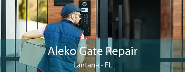  Aleko Gate Repair Lantana - FL