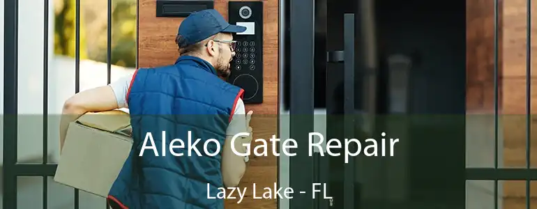  Aleko Gate Repair Lazy Lake - FL