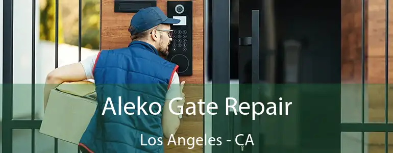  Aleko Gate Repair Los Angeles - CA
