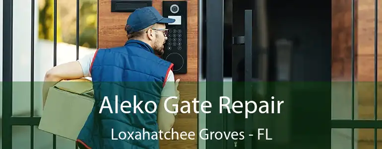  Aleko Gate Repair Loxahatchee Groves - FL