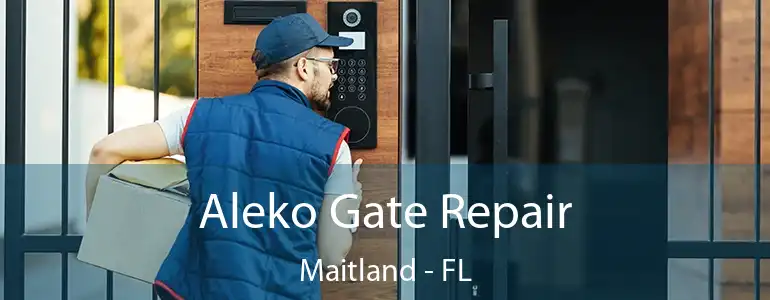  Aleko Gate Repair Maitland - FL