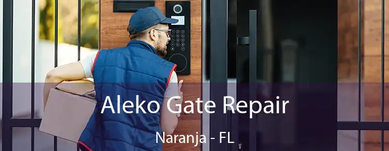  Aleko Gate Repair Naranja - FL