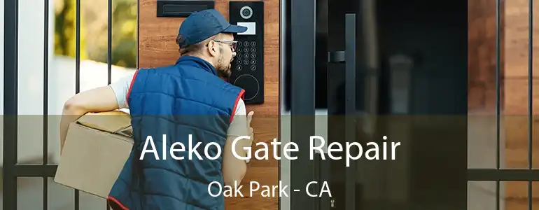 Aleko Gate Repair Oak Park - CA