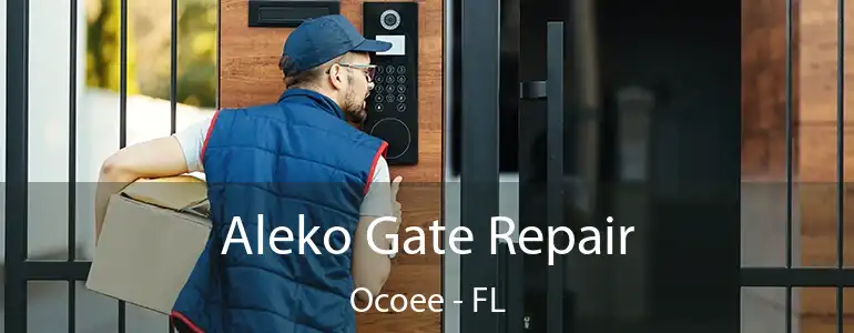  Aleko Gate Repair Ocoee - FL