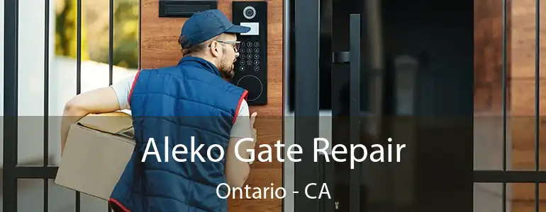  Aleko Gate Repair Ontario - CA