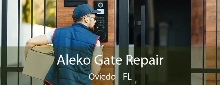  Aleko Gate Repair Oviedo - FL