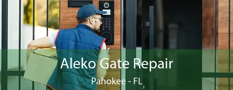  Aleko Gate Repair Pahokee - FL