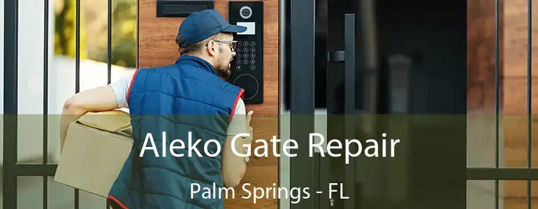  Aleko Gate Repair Palm Springs - FL