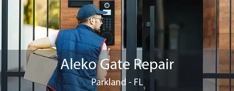  Aleko Gate Repair Parkland - FL