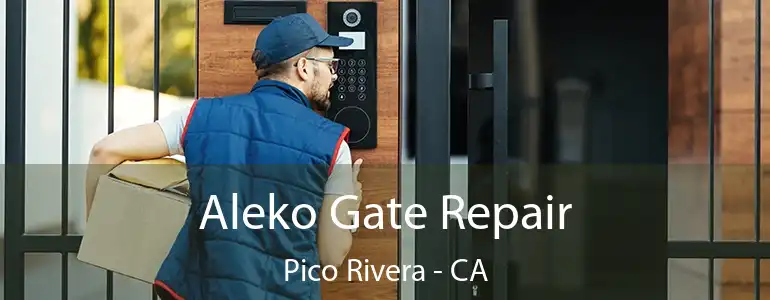  Aleko Gate Repair Pico Rivera - CA