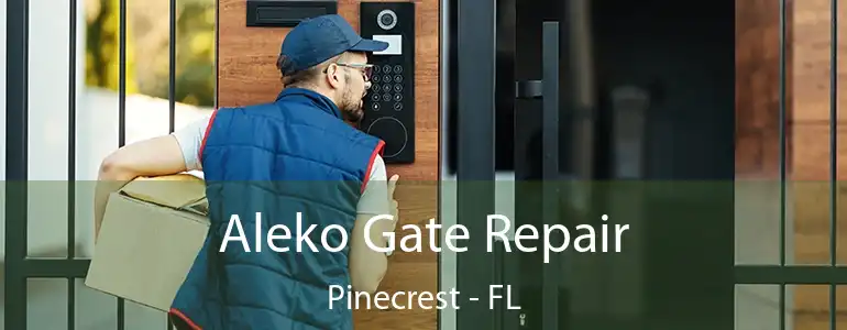  Aleko Gate Repair Pinecrest - FL