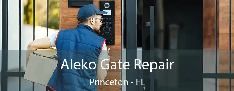  Aleko Gate Repair Princeton - FL