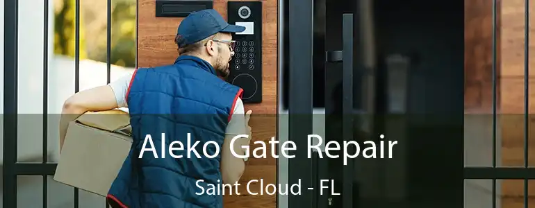  Aleko Gate Repair Saint Cloud - FL