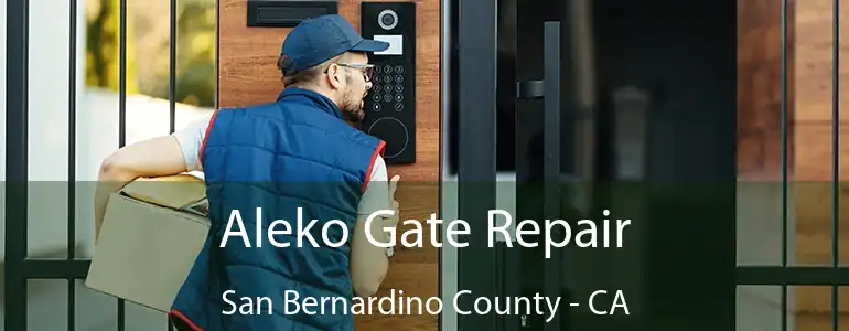  Aleko Gate Repair San Bernardino County - CA