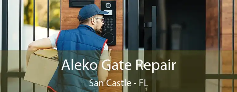  Aleko Gate Repair San Castle - FL