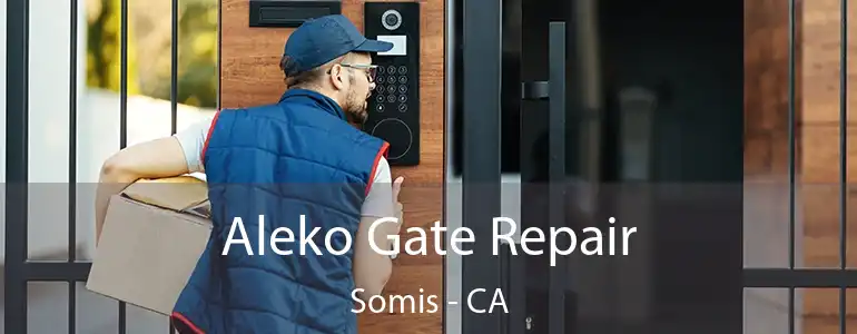  Aleko Gate Repair Somis - CA