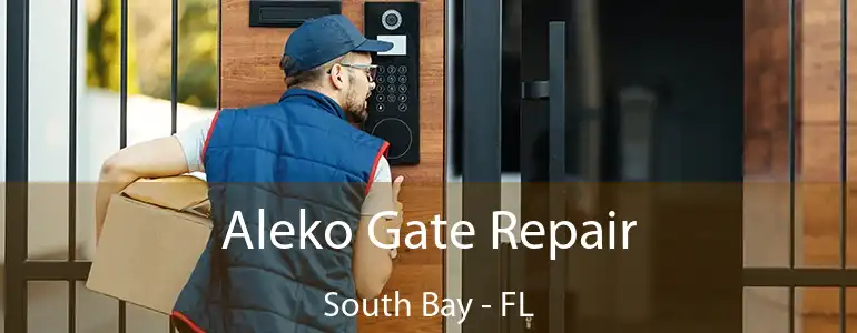  Aleko Gate Repair South Bay - FL