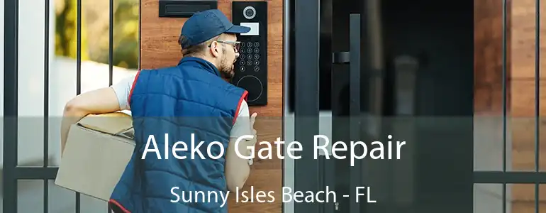  Aleko Gate Repair Sunny Isles Beach - FL