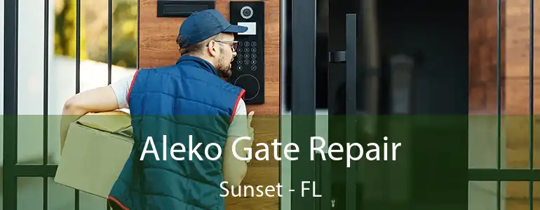  Aleko Gate Repair Sunset - FL