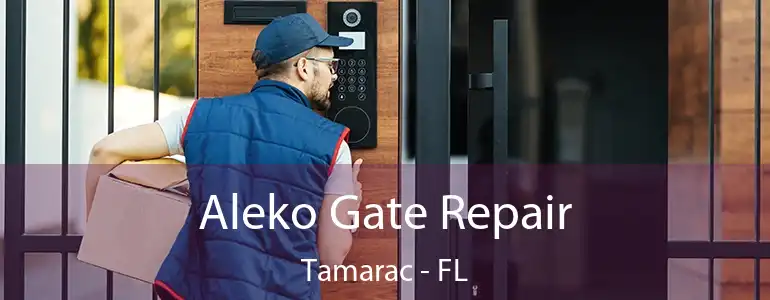  Aleko Gate Repair Tamarac - FL